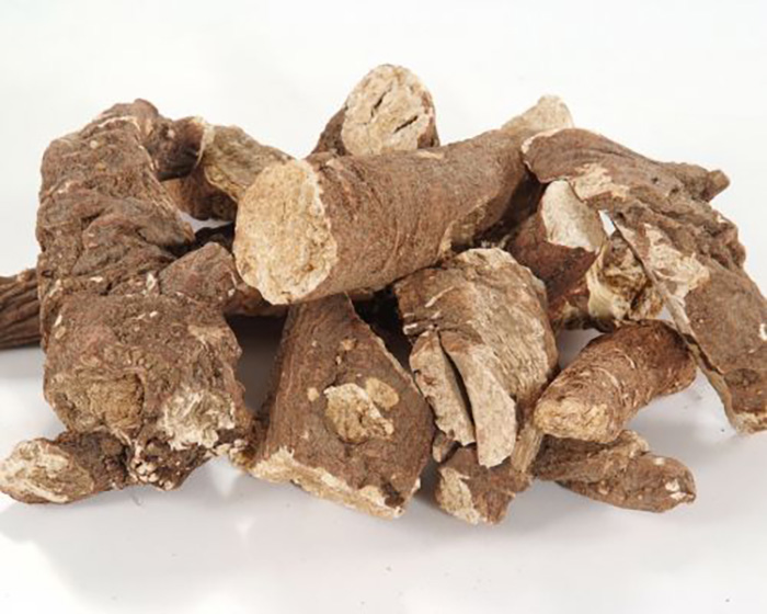 Kabuklu Çöven Kökü